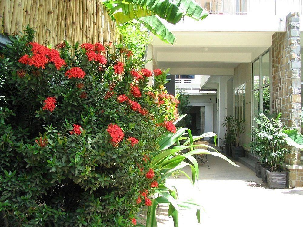 Frangipani Villa-60S Phnom Penh Esterno foto